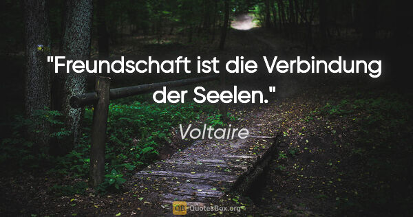 Voltaire Zitat: "Freundschaft ist die Verbindung der Seelen."