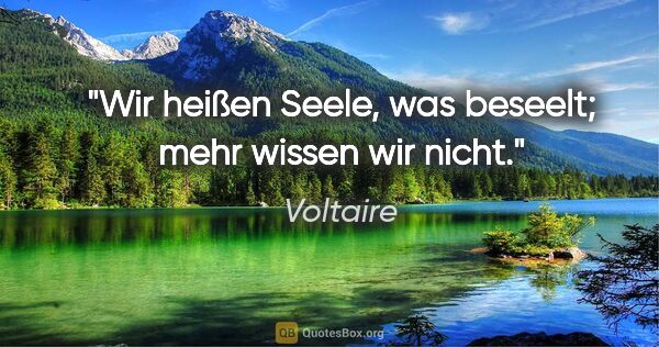 Voltaire Zitat: "Wir heißen Seele, was beseelt; mehr wissen wir nicht."