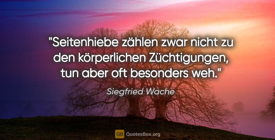 Siegfried Wache Zitat: "Seitenhiebe zählen zwar nicht zu den körperlichen..."