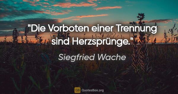 Siegfried Wache Zitat: "Die Vorboten einer Trennung sind Herzsprünge."