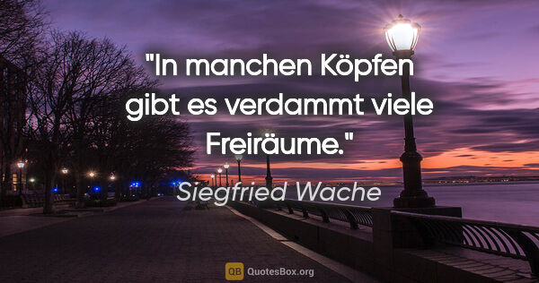 Siegfried Wache Zitat: "In manchen Köpfen gibt es verdammt viele Freiräume."