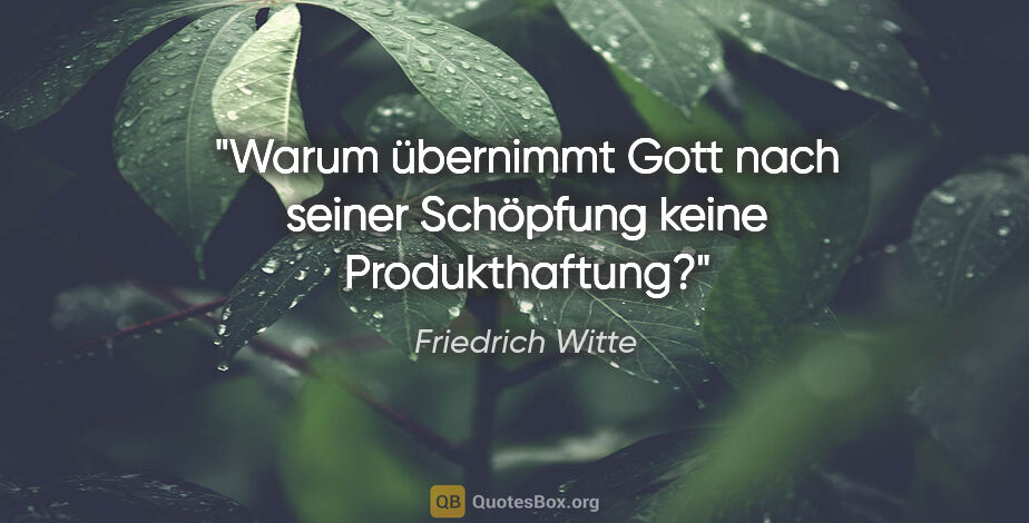 Friedrich Witte Zitat: "Warum übernimmt Gott nach seiner Schöpfung keine Produkthaftung?"