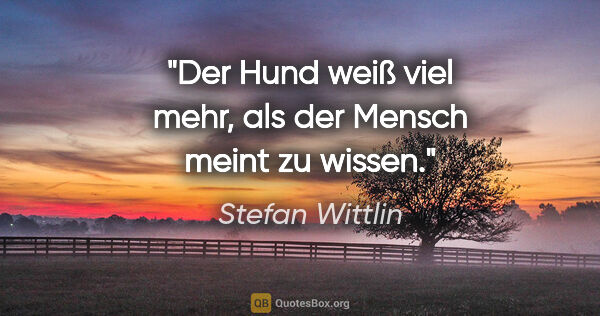 Stefan Wittlin Zitat: "Der Hund weiß viel mehr, als der Mensch meint zu wissen."