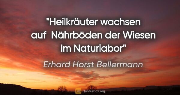 Erhard Horst Bellermann Zitat: "Heilkräuter wachsen
auf  Nährböden der Wiesen
im Naturlabor"