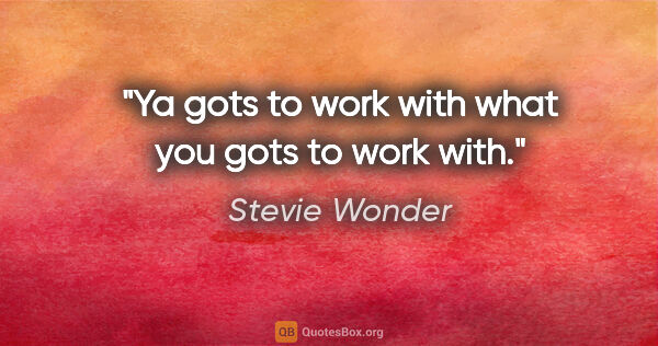Stevie Wonder quote: "Ya gots to work with what you gots to work with."