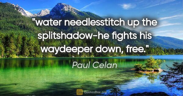 Paul Celan quote: "water needlesstitch up the splitshadow-he fights his waydeeper..."