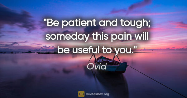 Ovid quote: "Be patient and tough; someday this pain will be useful to you."