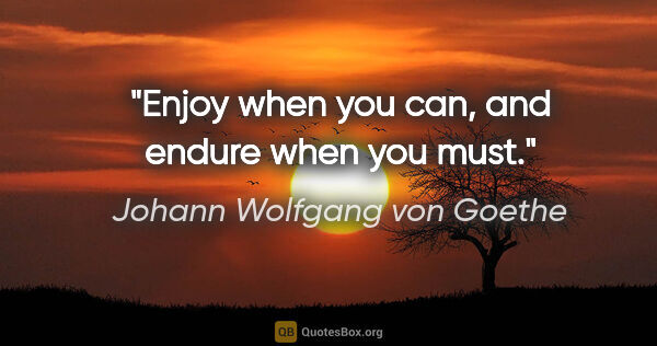 Johann Wolfgang von Goethe quote: "Enjoy when you can, and endure when you must."