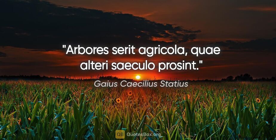 Gaius Caecilius Statius Zitat: "Arbores serit agricola, quae alteri saeculo prosint."