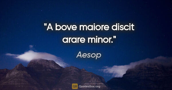 Aesop Zitat: "A bove maiore discit arare minor."