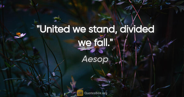 Aesop Zitat: "United we stand, divided we fall."