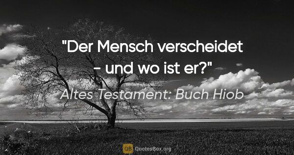 Altes Testament: Buch Hiob Zitat: "Der Mensch verscheidet - und wo ist er?"