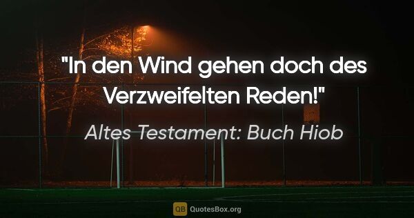 Altes Testament: Buch Hiob Zitat: "In den Wind gehen doch des Verzweifelten Reden!"