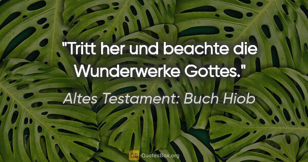 Altes Testament: Buch Hiob Zitat: "Tritt her und beachte die Wunderwerke Gottes."