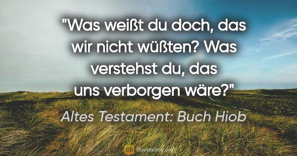 Altes Testament: Buch Hiob Zitat: "Was weißt du doch, das wir nicht wüßten? Was verstehst du, das..."