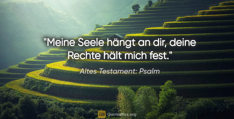 Altes Testament: Psalm Zitat: "Meine Seele hängt an dir, deine Rechte hält mich fest."