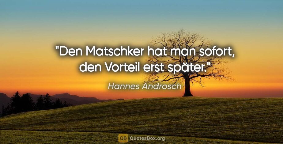 Hannes Androsch Zitat: "Den Matschker hat man sofort, den Vorteil erst später."