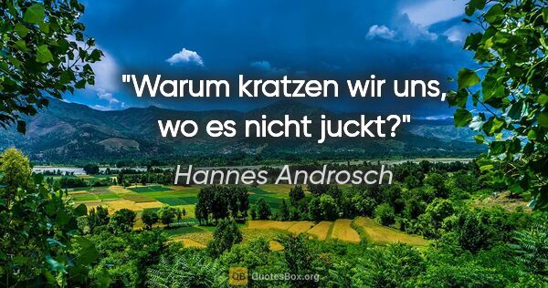 Hannes Androsch Zitat: "Warum kratzen wir uns, wo es nicht juckt?"