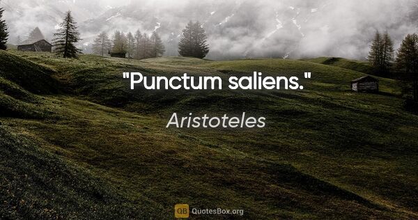 Aristoteles Zitat: "Punctum saliens."