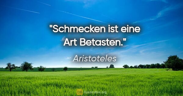 Aristoteles Zitat: "Schmecken ist eine Art Betasten."