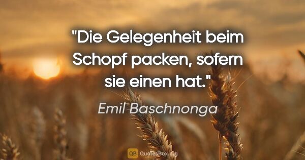 Emil Baschnonga Zitat: "Die Gelegenheit beim Schopf packen, sofern sie einen hat."
