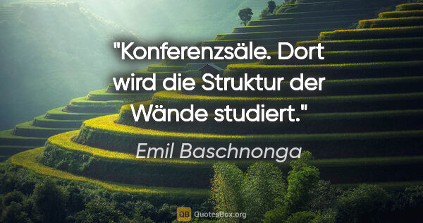 Emil Baschnonga Zitat: "Konferenzsäle. Dort wird die Struktur der Wände studiert."