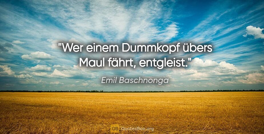 Emil Baschnonga Zitat: "Wer einem Dummkopf übers Maul fährt, entgleist."