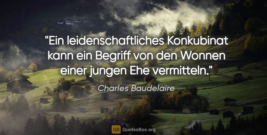 Charles Baudelaire Zitat: "Ein leidenschaftliches Konkubinat kann ein Begriff von den..."