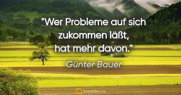 Günter Bauer Zitat: "Wer Probleme auf sich zukommen läßt, hat mehr davon."