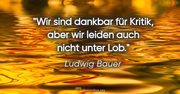Ludwig Bauer Zitat: "Wir sind dankbar für Kritik, aber wir leiden auch nicht unter..."