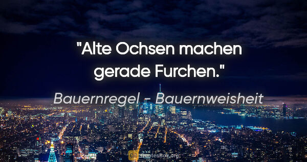 Bauernregel - Bauernweisheit Zitat: "Alte Ochsen machen gerade Furchen."