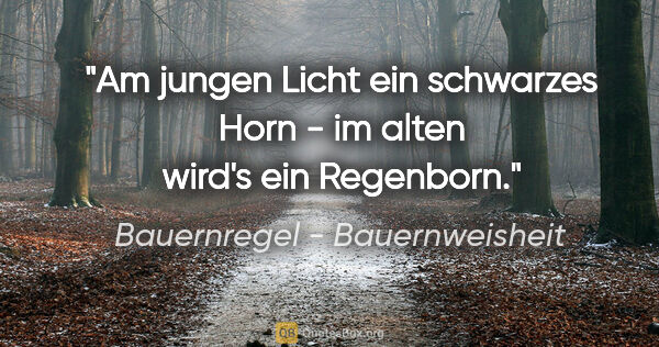 Bauernregel - Bauernweisheit Zitat: "Am jungen Licht ein schwarzes Horn - im alten wird's ein..."