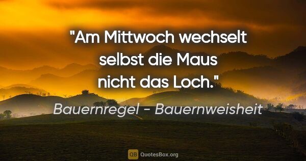 Bauernregel - Bauernweisheit Zitat: "Am Mittwoch wechselt selbst die Maus nicht das Loch."