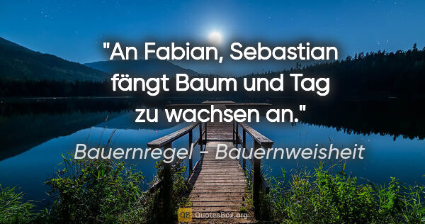 Bauernregel - Bauernweisheit Zitat: "An Fabian, Sebastian fängt Baum und Tag zu wachsen an."