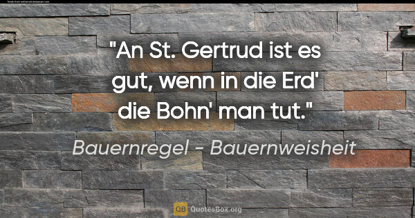 Bauernregel - Bauernweisheit Zitat: "An St. Gertrud ist es gut, wenn in die Erd' die Bohn' man tut."