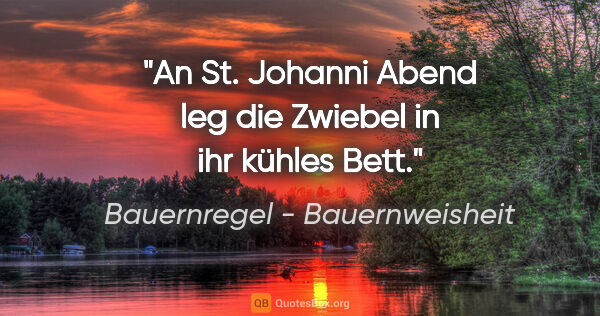 Bauernregel - Bauernweisheit Zitat: "An St. Johanni Abend leg die Zwiebel in ihr kühles Bett."