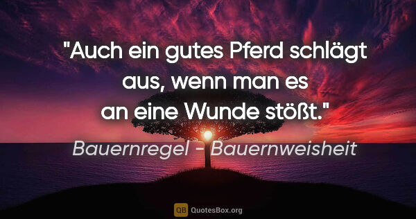 Bauernregel - Bauernweisheit Zitat: "Auch ein gutes Pferd schlägt aus, wenn man es an eine Wunde..."