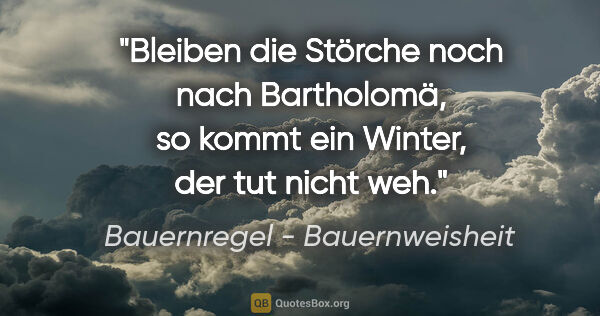 Bauernregel - Bauernweisheit Zitat: "Bleiben die Störche noch nach Bartholomä, so kommt ein Winter,..."