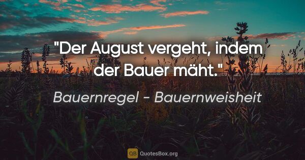 Bauernregel - Bauernweisheit Zitat: "Der August vergeht, indem der Bauer mäht."