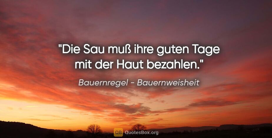 Bauernregel - Bauernweisheit Zitat: "Die Sau muß ihre guten Tage mit der Haut bezahlen."