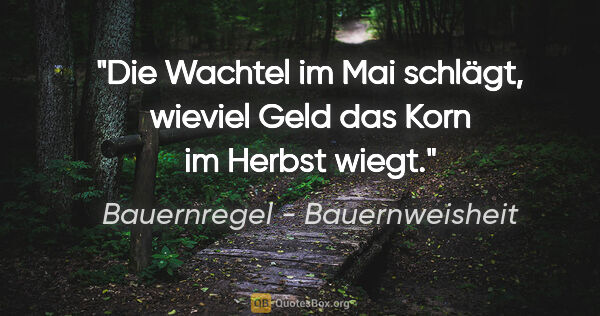 Bauernregel - Bauernweisheit Zitat: "Die Wachtel im Mai schlägt, wieviel Geld das Korn im Herbst..."