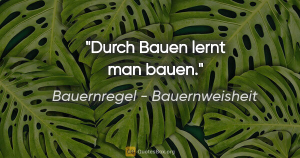 Bauernregel - Bauernweisheit Zitat: "Durch Bauen lernt man bauen."