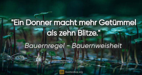 Bauernregel - Bauernweisheit Zitat: "Ein Donner macht mehr Getümmel als zehn Blitze."