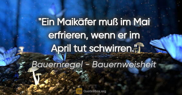 Bauernregel - Bauernweisheit Zitat: "Ein Maikäfer muß im Mai erfrieren, wenn er im April tut..."