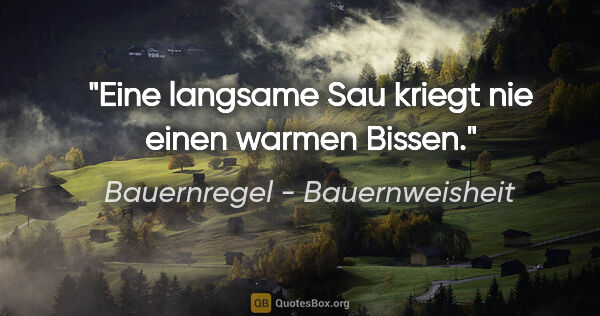 Bauernregel - Bauernweisheit Zitat: "Eine langsame Sau kriegt nie einen warmen Bissen."