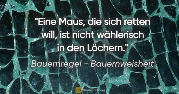 Bauernregel - Bauernweisheit Zitat: "Eine Maus, die sich retten will, ist nicht wählerisch in den..."