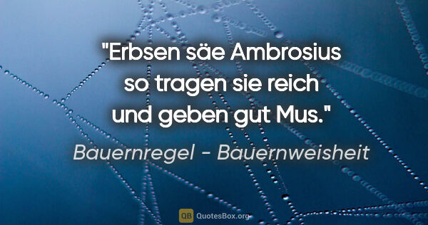 Bauernregel - Bauernweisheit Zitat: "Erbsen säe Ambrosius so tragen sie reich und geben gut Mus."