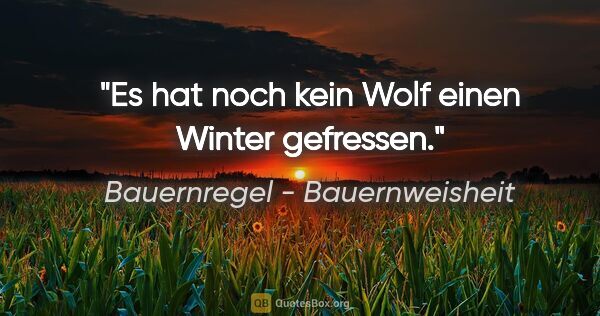 Bauernregel - Bauernweisheit Zitat: "Es hat noch kein Wolf einen Winter gefressen."