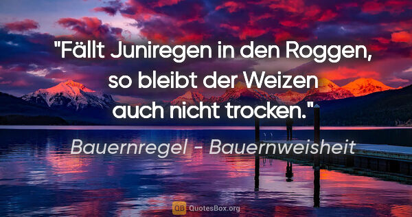 Bauernregel - Bauernweisheit Zitat: "Fällt Juniregen in den Roggen, so bleibt der Weizen auch nicht..."