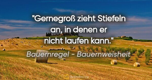 Bauernregel - Bauernweisheit Zitat: "Gernegroß zieht Stiefeln an, in denen er nicht laufen kann."